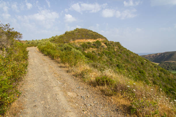 istock Road to Carrapateira with mountain and vegetation 858340970