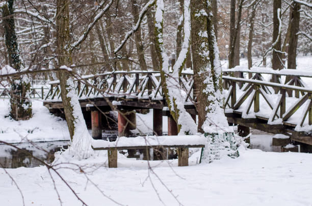 istock Nature park Vrelo Bosne near Sarajevo 858341010