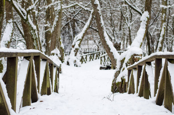 Old wooden bridge in winter in the mountains.