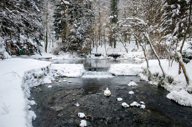 This is a photograph of a snow covered landscape reflected in the water’s surface of a woodland stream in Ramapo Reserve on a winter day in Mahwah, New Jersey.