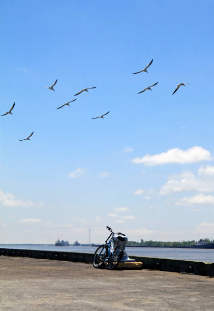 istock Bicycle at Mississippi river 858343588
