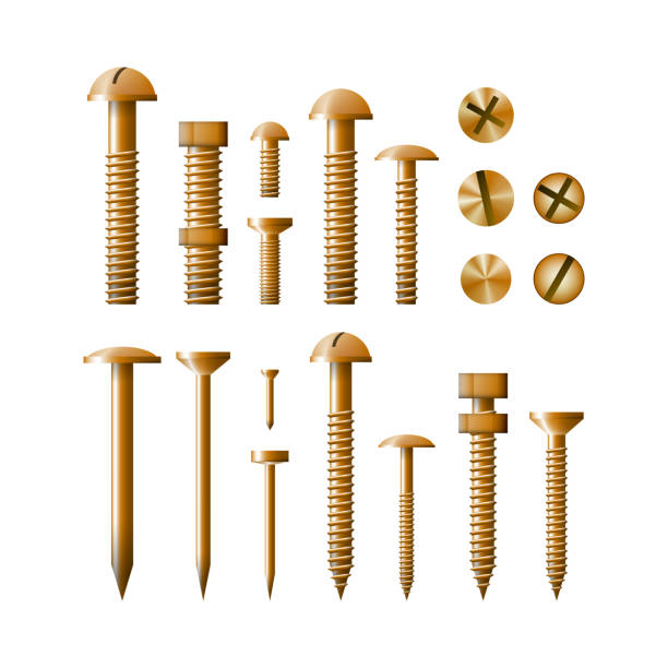 Set of fasteners Golden color vector illustration. Set of fasteners Golden color vector illustration. A collection of tools. Screw, bolt, nut and nail. metal stud stock illustrations