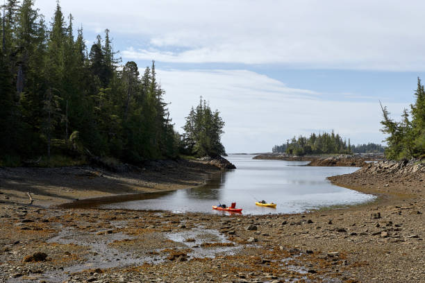 istock Kayaks floating in small ocean cove 858355032