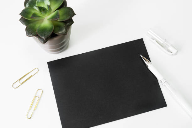 istock Black card mockup with succulent 858358198