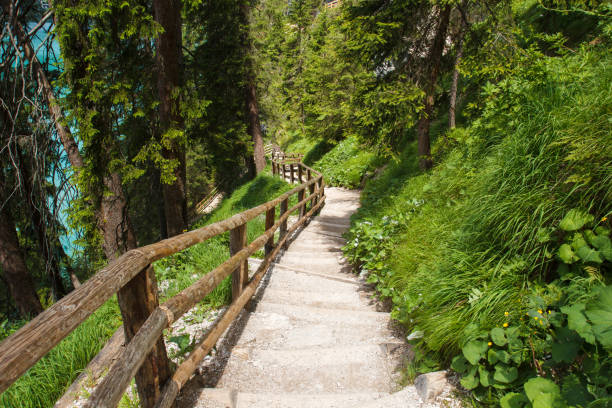 istock hiking trail around lake 858360802