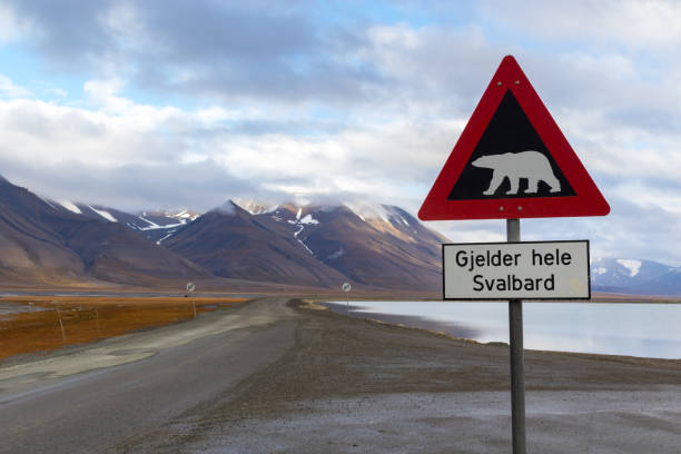 Polar bear warning sign in Svalbard stock photo