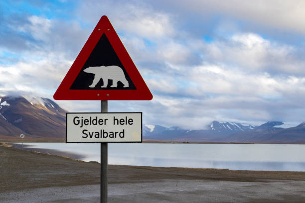 istock Polar bear warning sign in Svalbard 858365034