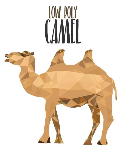 Vector illustration of low poly model animal with desert camel vector illustration