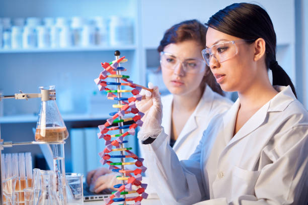 dois cientistas genéticos químicos trabalhando juntos em um laboratório - aula de biologia - fotografias e filmes do acervo