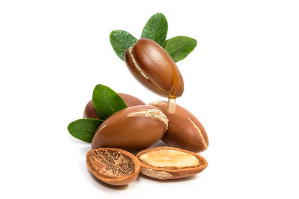 Argan oil. Argan nuts, with oil drop and leaves of its tree Argan oil. Gold of Morocco.Argan oil. Argan nuts, with oil drop and leaves of its tree argan tree stock pictures, royalty-free photos & images