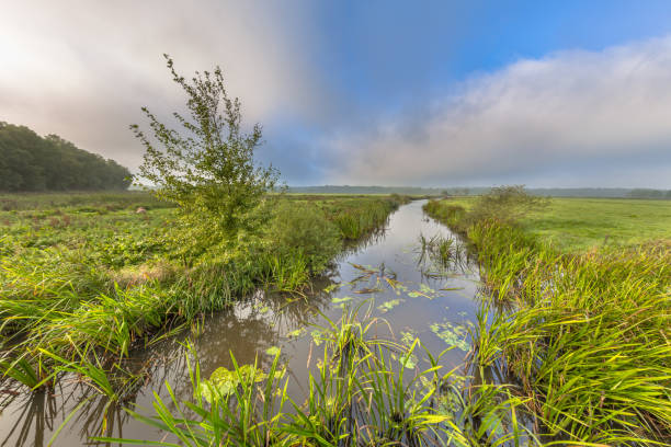 istock Bright summer landscape river landscape 858382254