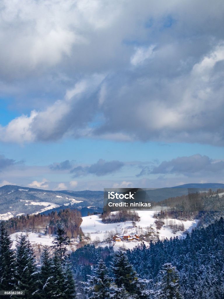ベスキディ山脈山中冬周辺ピブニチュナ ズドルイポーランド ポーランドのストックフォトや画像を多数ご用意 ポーランド, マウォポルスカ県