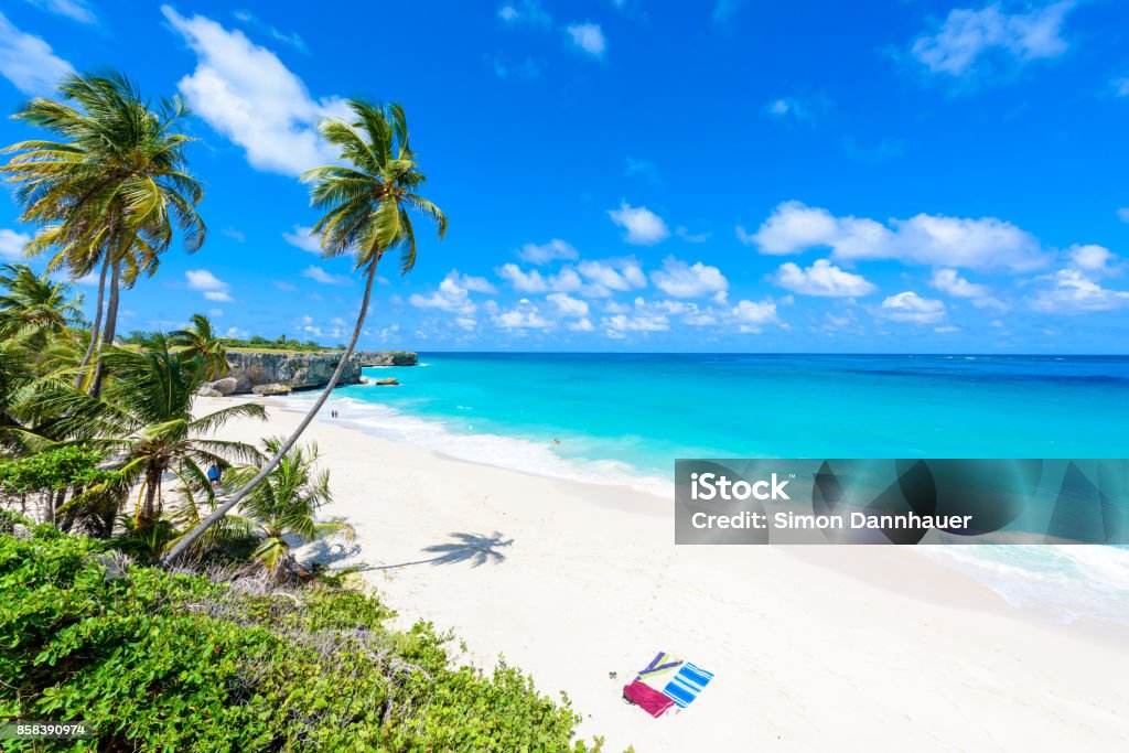 Bottom Bay, Barbados - praia paradisíaca sobre a ilha caribenha de Barbados. Costa tropical com palmeiras, pairando sobre o mar azul turquesa. Foto panorâmica da bela paisagem. - Foto de stock de Barbados royalty-free