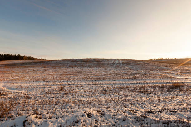 istock Agricultural field covered by snow 858409484