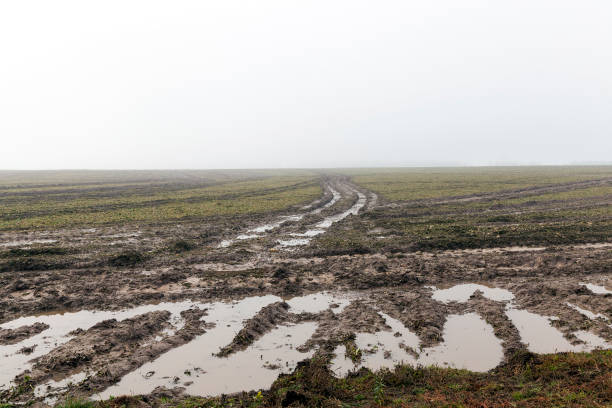 istock Car tracks in the field 858409958