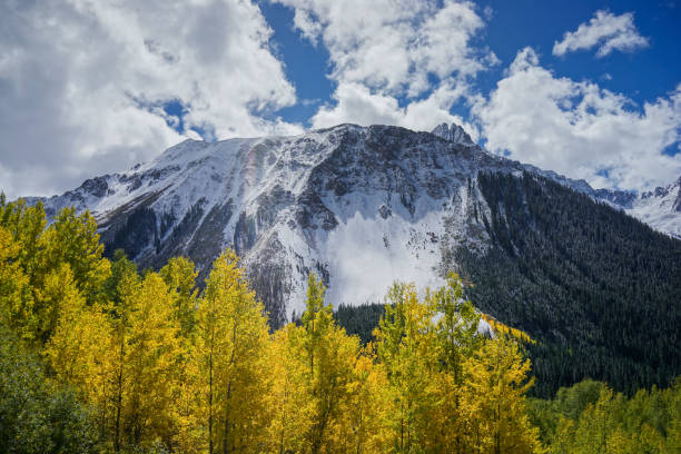istock Mountain and Aspend Blue Sky Colorado 858415732
