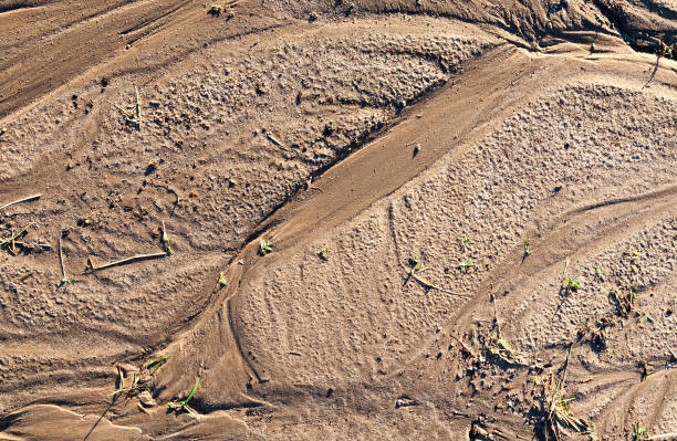 istock traces of water on the ground 858415946