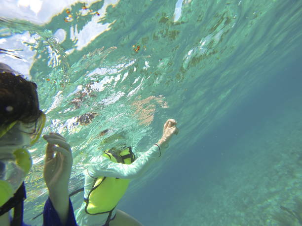 istock Mother and son snorkeling. 858418880