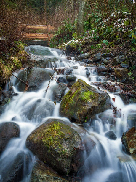 Photo of Stream of Water Trickling Down Mossy Rocks
