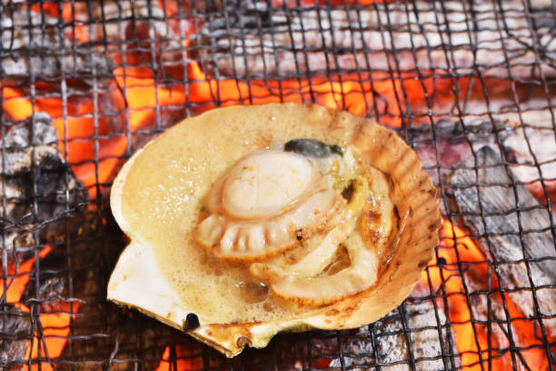 Fresh japanese scallop hotate with shell on the grill with flames