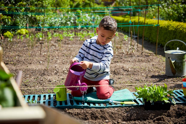 istock Cute little boy watering plants in garden 858436656