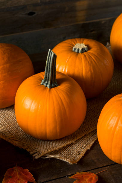 istock Raw Orange Organic Pie Pumpkins 858437038