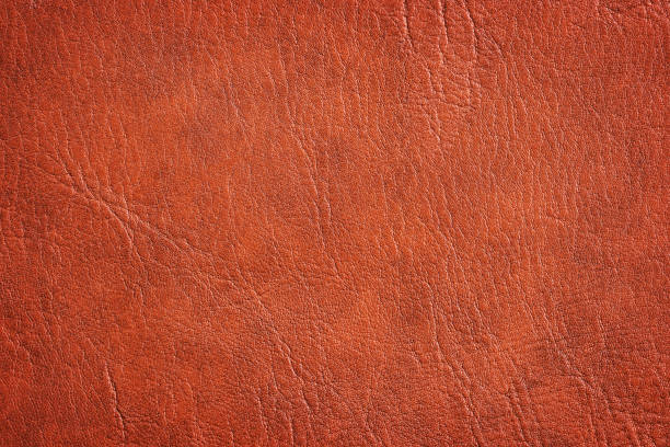 istock Brown Leather Texture used as luxury classic Background 858437138