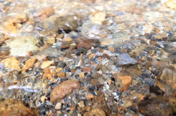 istock Country Brook - creek - stream - water stream 858441604