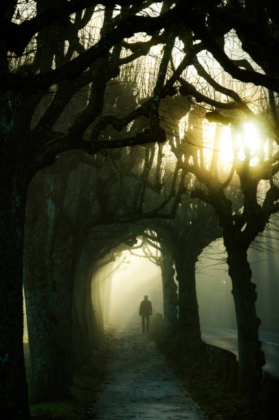 istock A man is going from heavy mysterious fog into the sunshine 858462190