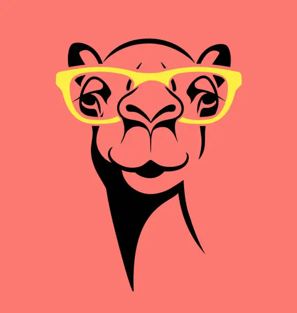 Vector illustration of funny camel wearing glasses. vector illustration for T shirt, poster, print design.