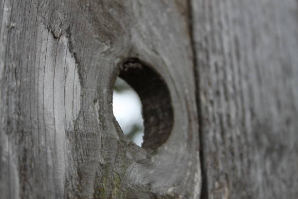 hole to see from other world