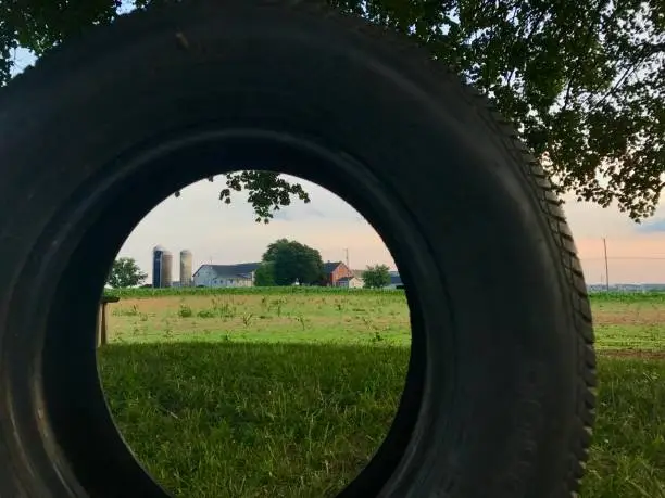 Amish barn framed by tire swing at sunset