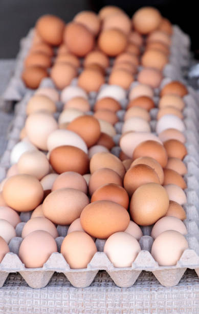 istock Egg Crates of brown and white eggs 858478324