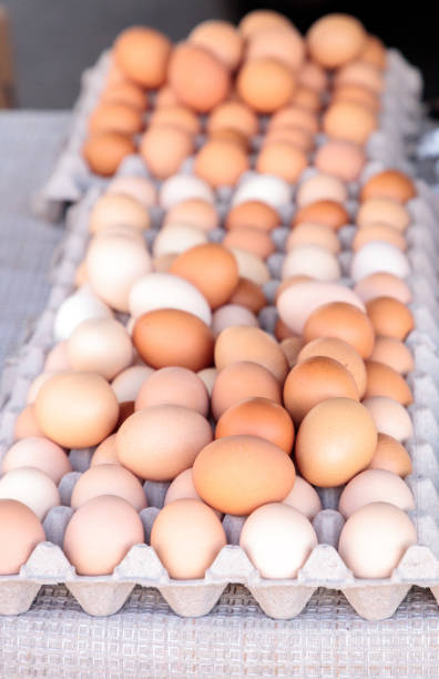istock Egg Crates of brown and white eggs 858478350