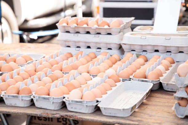 istock Egg Crates of brown and white eggs 858478360