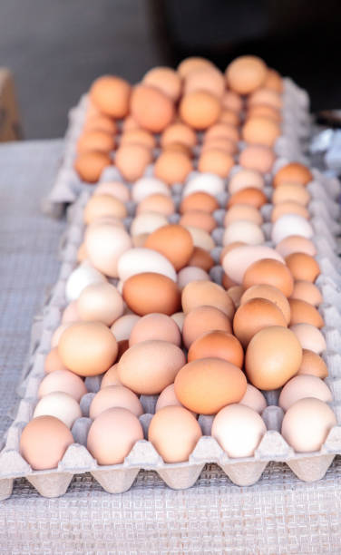 istock Egg Crates of brown and white eggs 858478408