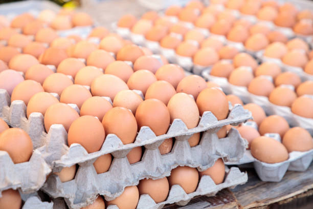 istock Egg Crates of brown and white eggs 858478410