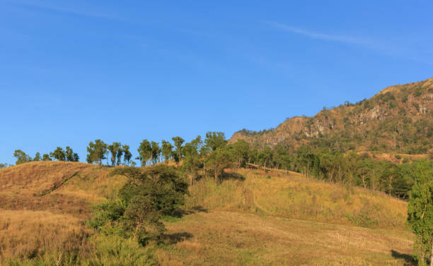 istock Beautiful scenery on the hilltop in Thailand. 858508210
