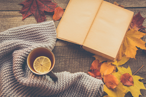 Mug of tea, cozy knitted scarf, autumn leaves, open book and pumpkin on wooden board. Autumn still life, vintage style. Matte image.