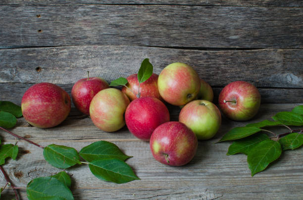 istock Apples on old wooden background 858510950