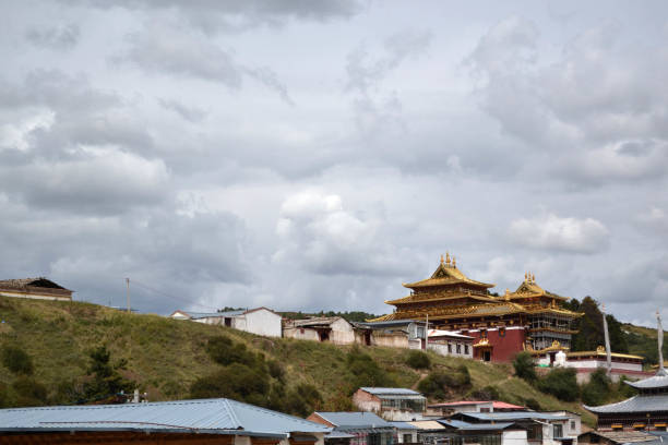 istock The architecture around Tibetan Temple (Kirti/Kerti Gompa) with the mountain range as the background 858511150