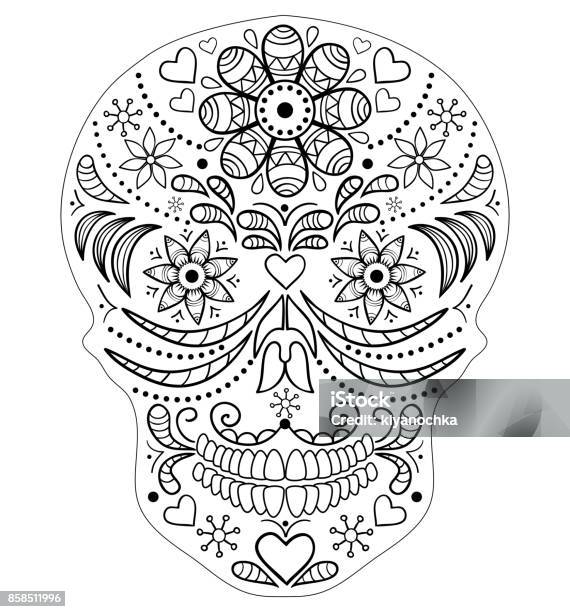 Hand Drawn Skull Stock Illustration - Download Image Now - Adult, Art, Art Product