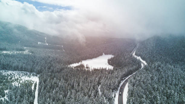 istock Aerial view of Mt. Hood Forest 858515612