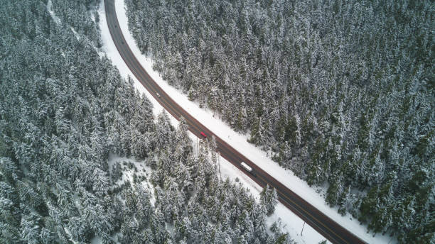 istock Aerial view of Mt. Hood Forest 858515620