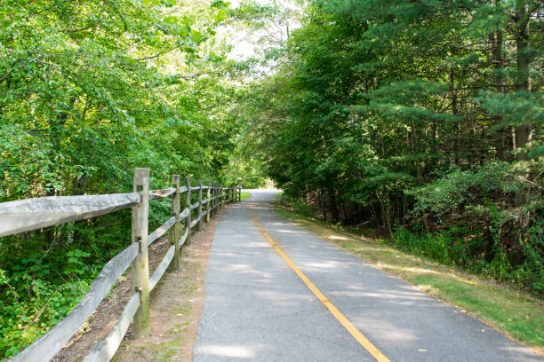istock Walking path with green foliage and wooden fence 858518078