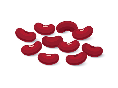 Kidney beans, Red beans Flat design