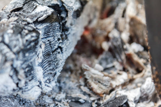 istock Glowing hot charcoal briquettes close-up background texture. bonfire 858519552