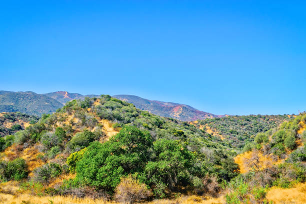 istock Burned hillsides and fire retardant 858522262