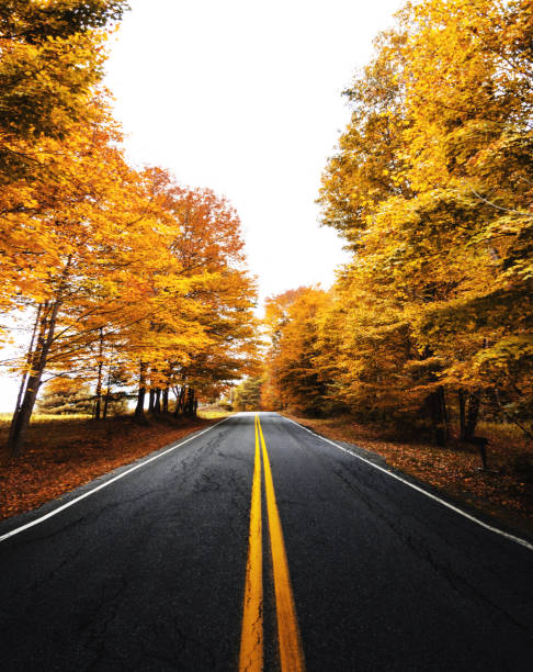 istock Autumnal road in new hampshire 858526140