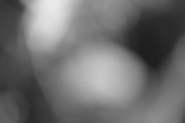 istock focus on abstract green leaves 858526208
